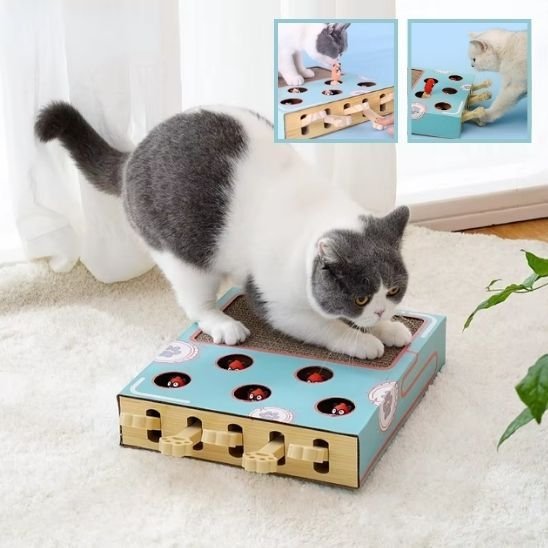 Griffoir chat | DesignProtect - Allo Minou