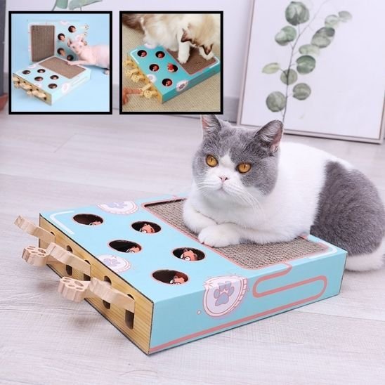 Griffoir chat | DesignProtect - Allo Minou