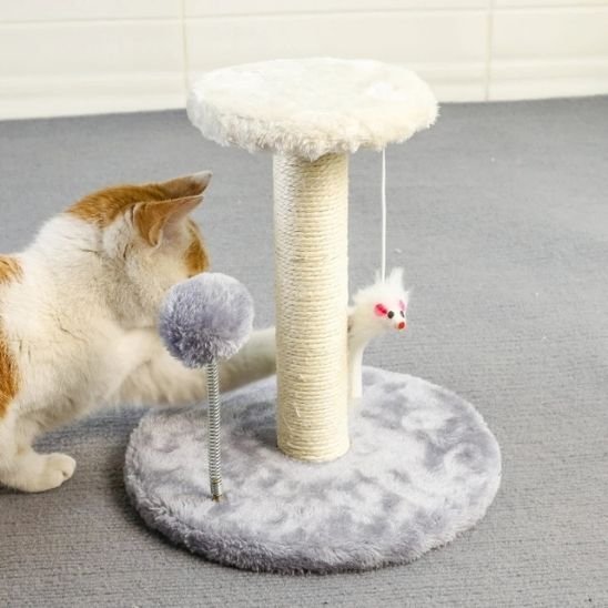 Griffoir chat | DesignProtect - Allo Minou