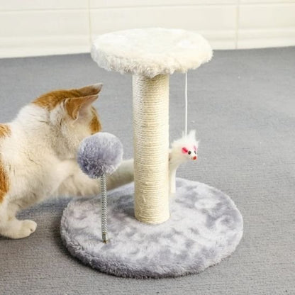 Griffoir chat | DesignProtect - Allo Minou