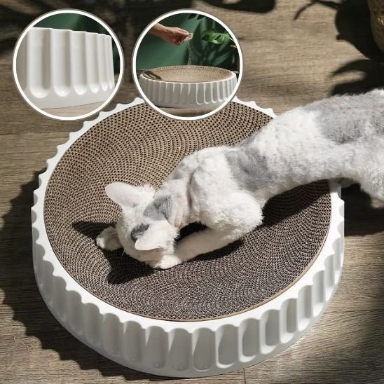 Griffoir chat | DuraPaws - Allo Minou