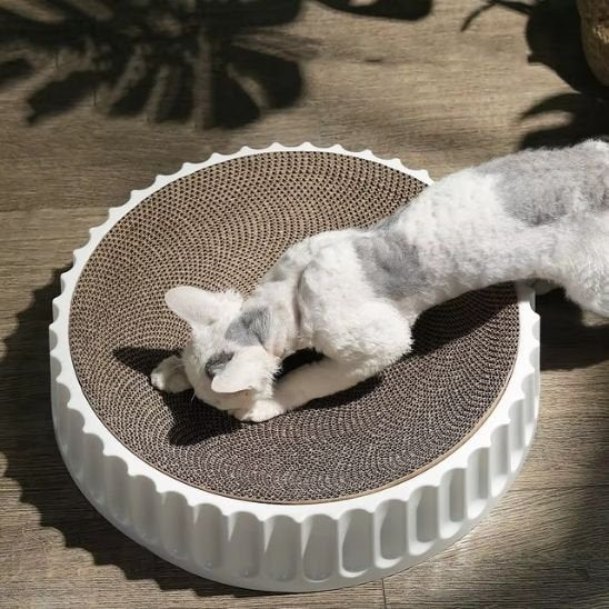 Griffoir chat | DuraPaws - Allo Minou