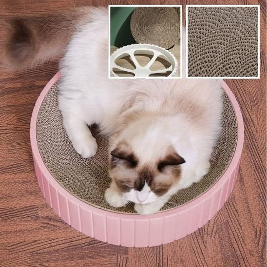 Griffoir chat | DuraPaws - Allo Minou