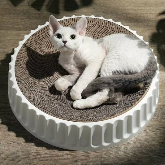 Griffoir chat | DuraPaws - Allo Minou
