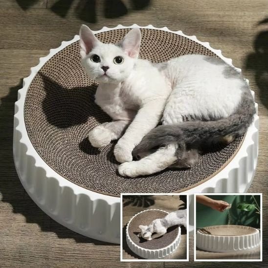 Griffoir chat | DuraPaws - Allo Minou