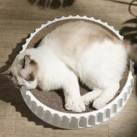 Griffoir chat | DuraPaws - Allo Minou