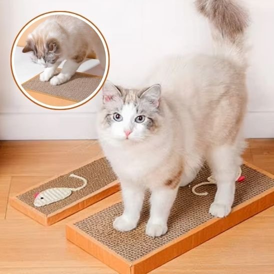 Griffoir chat | EcoProtect - Allo Minou