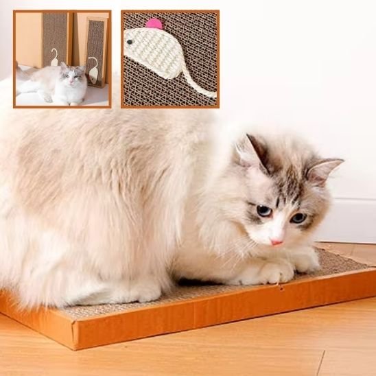 Griffoir chat | EcoProtect - Allo Minou