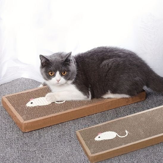 Griffoir chat | EcoProtect - Allo Minou
