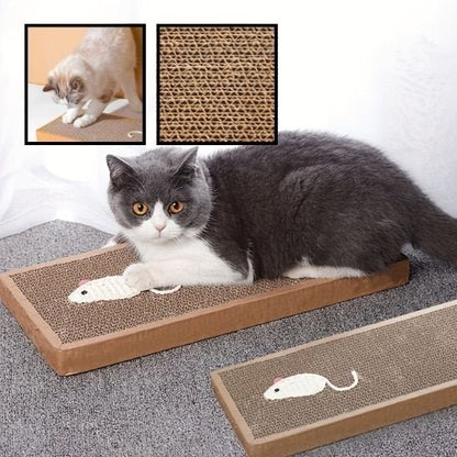 Griffoir chat | EcoProtect - Allo Minou