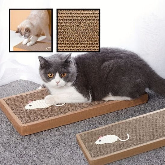 Griffoir chat | EcoProtect - Allo Minou