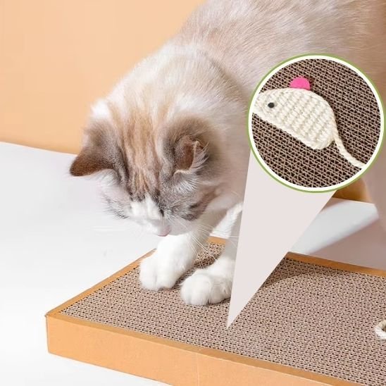 Griffoir chat | EcoProtect - Allo Minou