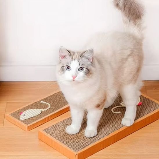 Griffoir chat | EcoProtect - Allo Minou