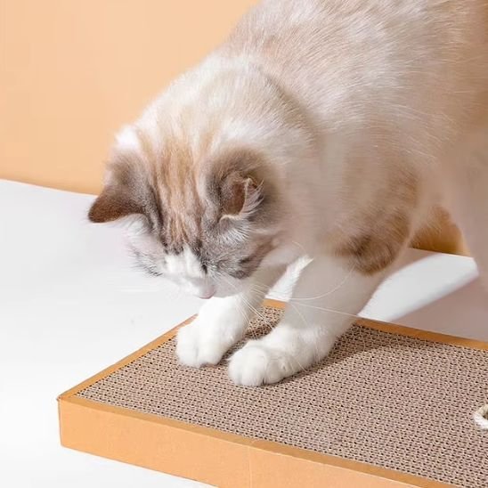 Griffoir chat | EcoProtect - Allo Minou