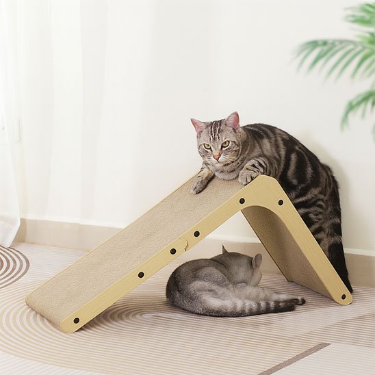 griffoir chat incline