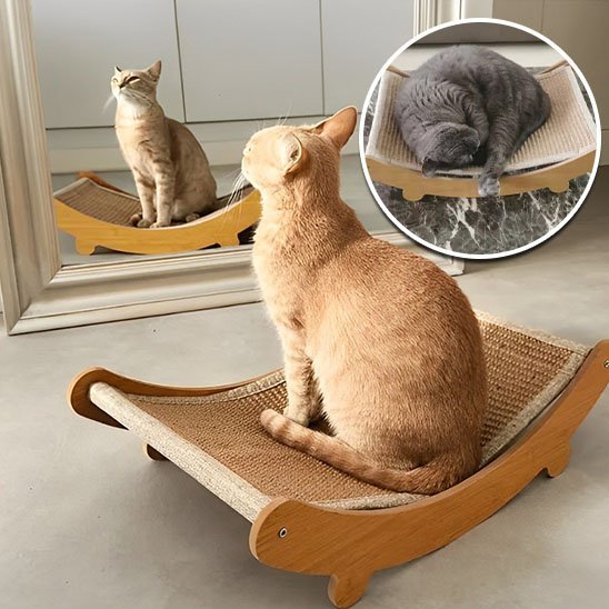 Griffoir chat | Premium Design - Allo Minou