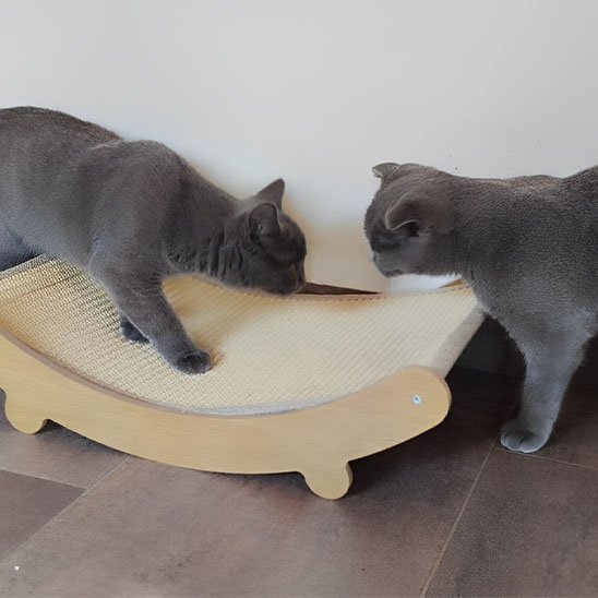 Griffoir chat | Premium Design - Allo Minou