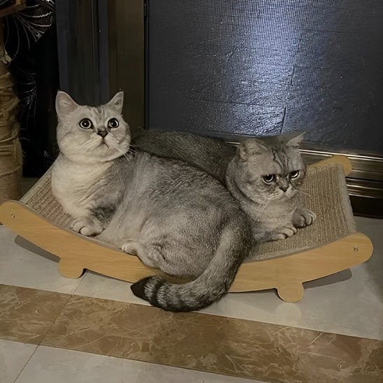 Griffoir chat | Premium Design - Allo Minou