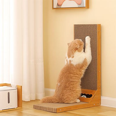 Griffoir Chat | Premium Protection Meuble - Allo Minou