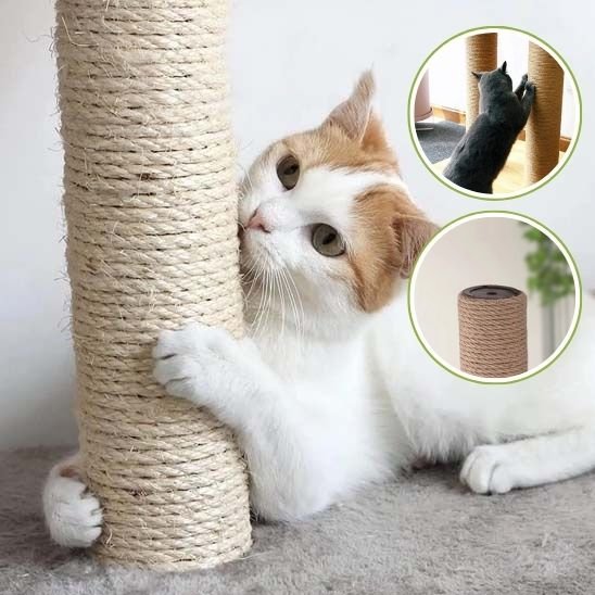 Griffoir chat | ProtectDesign - Allo Minou