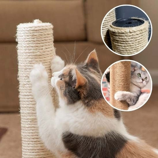 Griffoir chat | ProtectDesign - Allo Minou