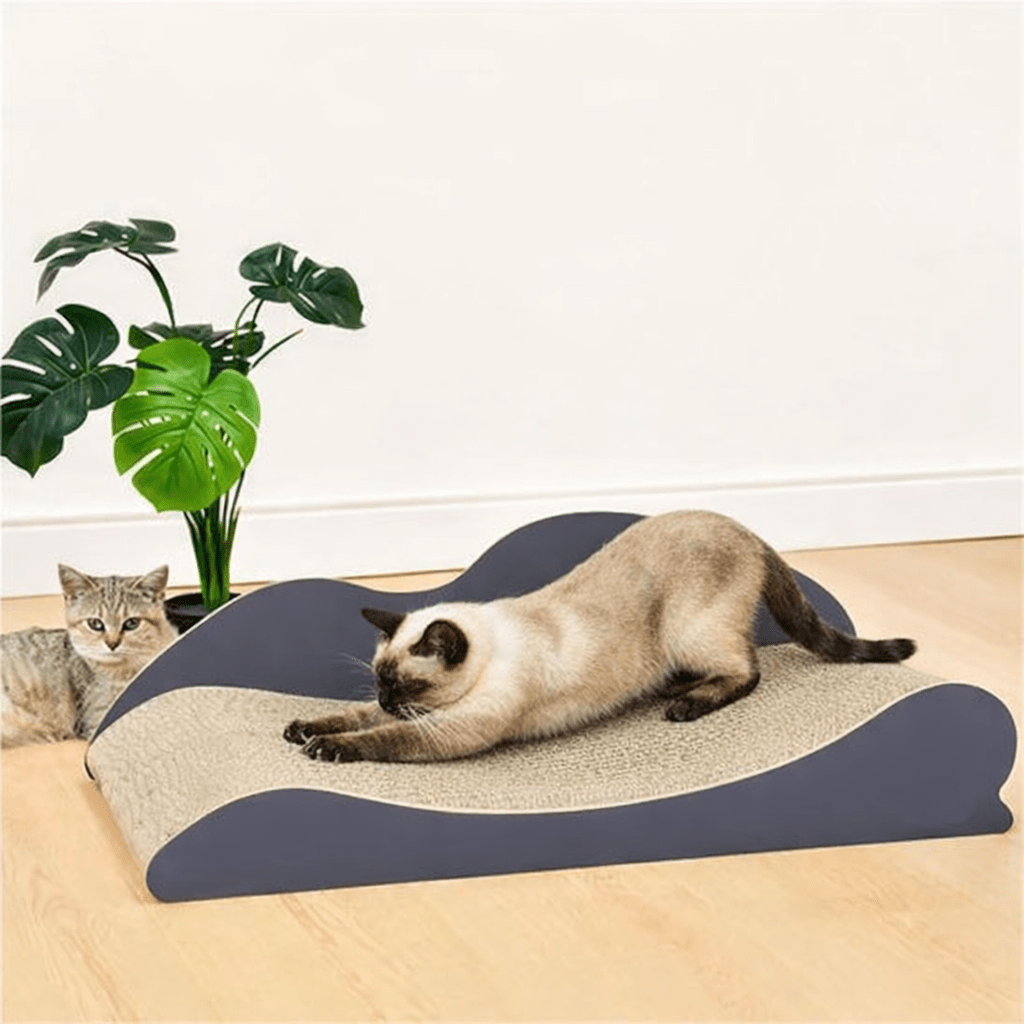 Griffoir chat | ProtectMeuble - Allo Minou