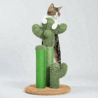 griffoir chat variante brun