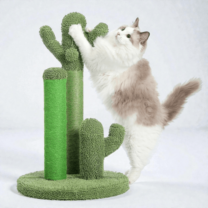 griffoir chat variante vert