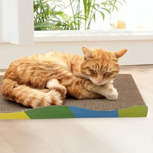 griffoir en carton pour chat confortable et résistant