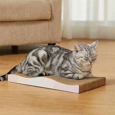Griffoir en carton pour Chat | ÉcoPaws - Allo Minou