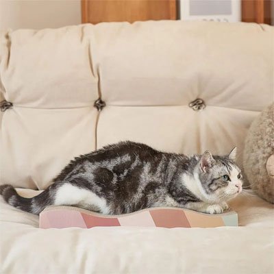 Griffoir en carton pour Chat | ÉcoPaws - Allo Minou