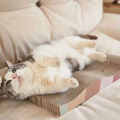 Griffoir en carton pour Chat | ÉcoPaws - Allo Minou