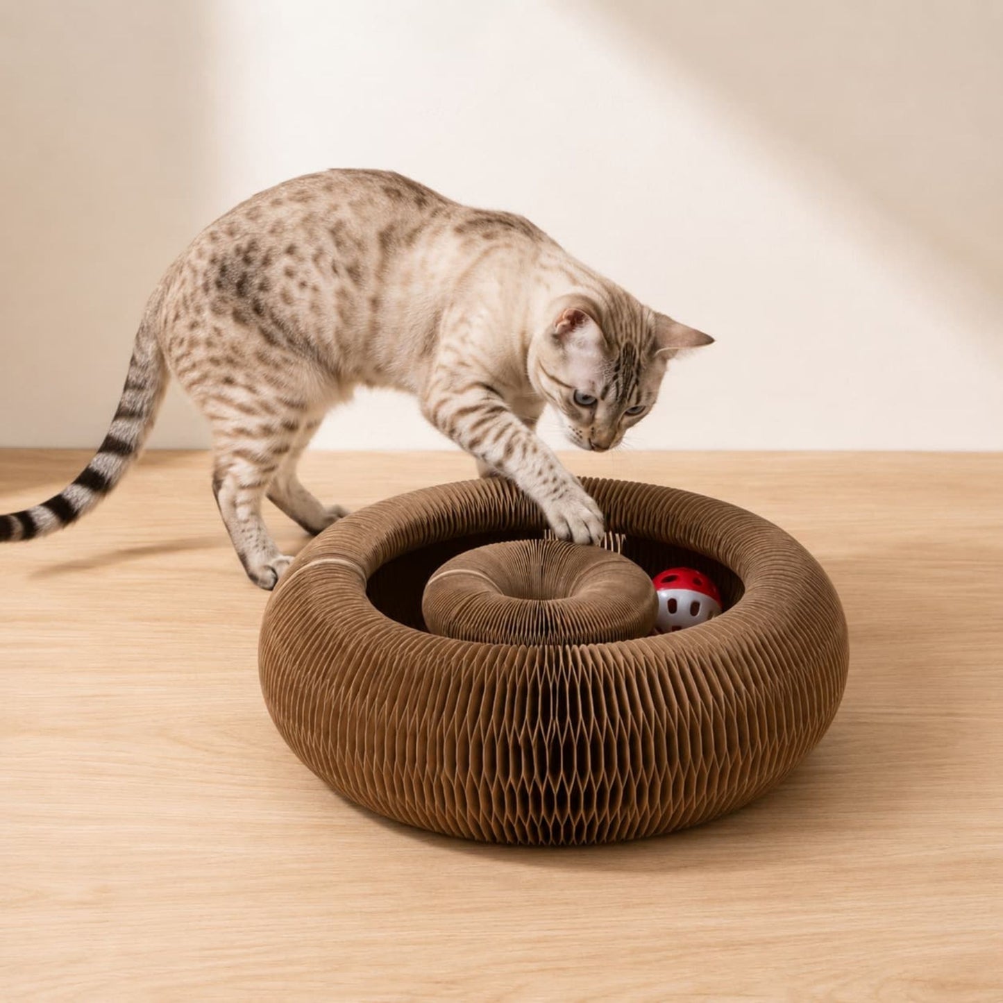 griffoir pour chat