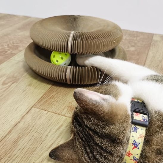 Griffoir pour chat | Design Naturel - Allo Minou