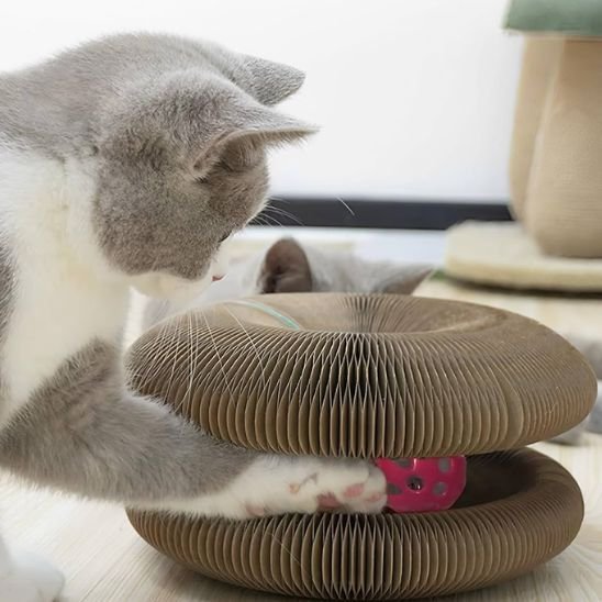 Griffoir pour chat | Design Naturel - Allo Minou