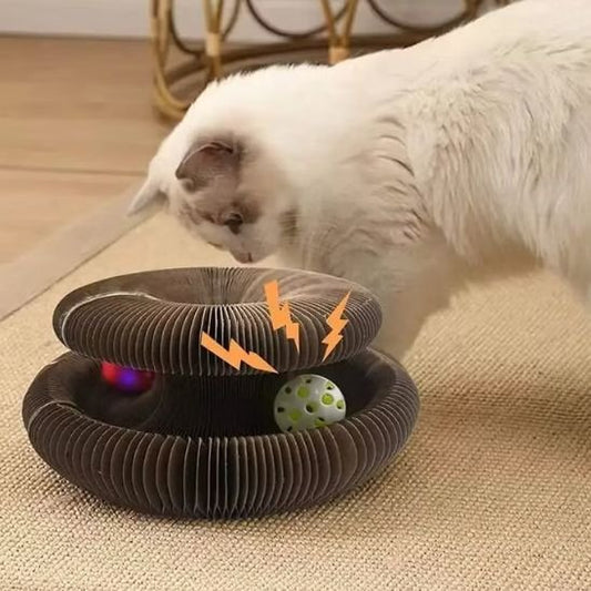 Griffoir pour chat | Design Naturel - Allo Minou