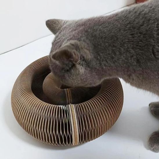 Griffoir pour chat | Design Naturel - Allo Minou