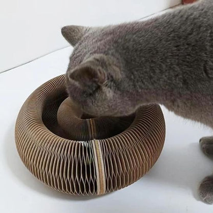 Griffoir pour chat | Design Naturel - Allo Minou