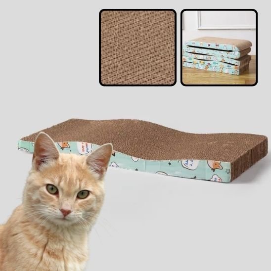 Griffoir pour chat | Design Protect - Allo Minou
