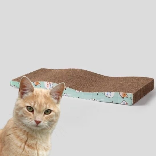 Griffoir pour chat | Design Protect - Allo Minou
