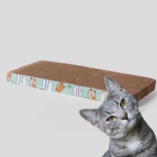 Griffoir pour chat | Design Protect - Allo Minou
