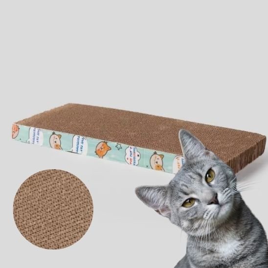 Griffoir pour chat | Design Protect - Allo Minou