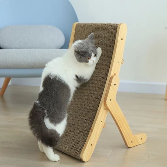 Griffoir pour chat | EcoProtect - Allo Minou