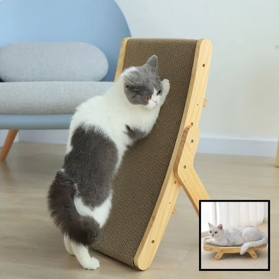 Griffoir pour chat | EcoProtect - Allo Minou