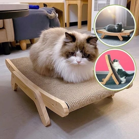 Griffoir pour chat | EcoProtect - Allo Minou