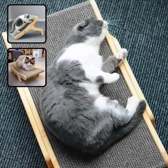 Griffoir pour chat | EcoProtect - Allo Minou