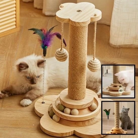 Griffoire chat | DesignPro - Allo Minou