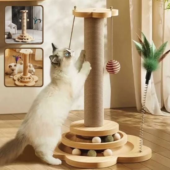 Griffoire chat | DesignPro - Allo Minou