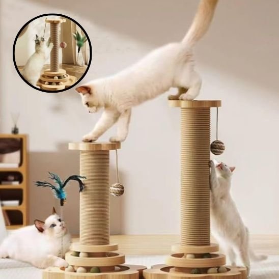 Griffoire chat | DesignPro - Allo Minou