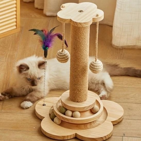 Griffoire chat | DesignPro - Allo Minou